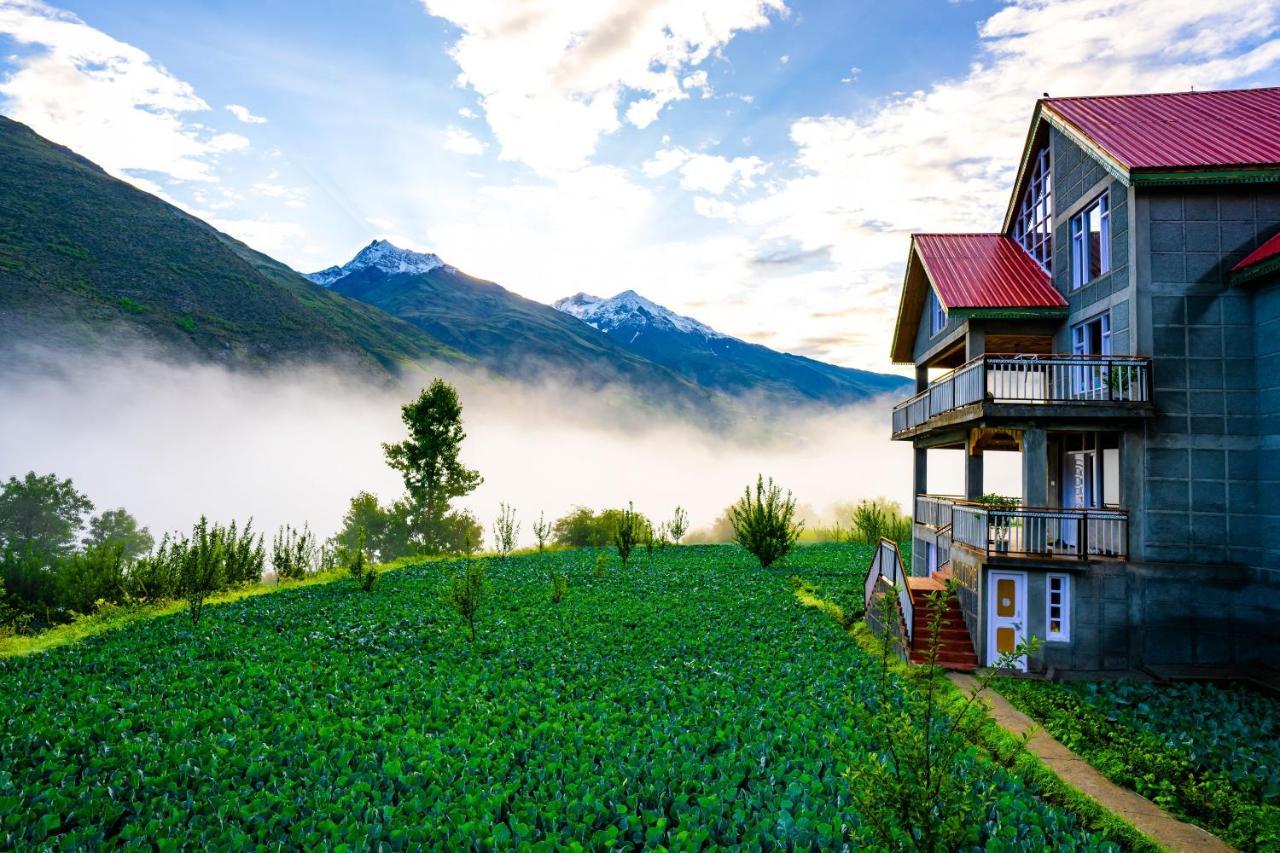 Zostel Homes Rashil Tandi Luaran gambar